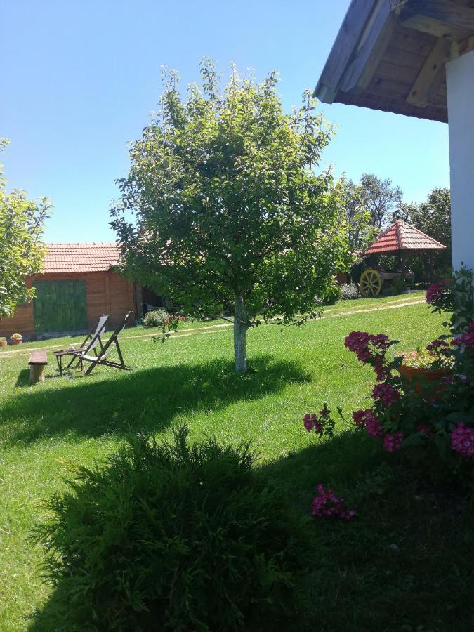 Appartement Camp Viljamovka à Kremna Extérieur photo